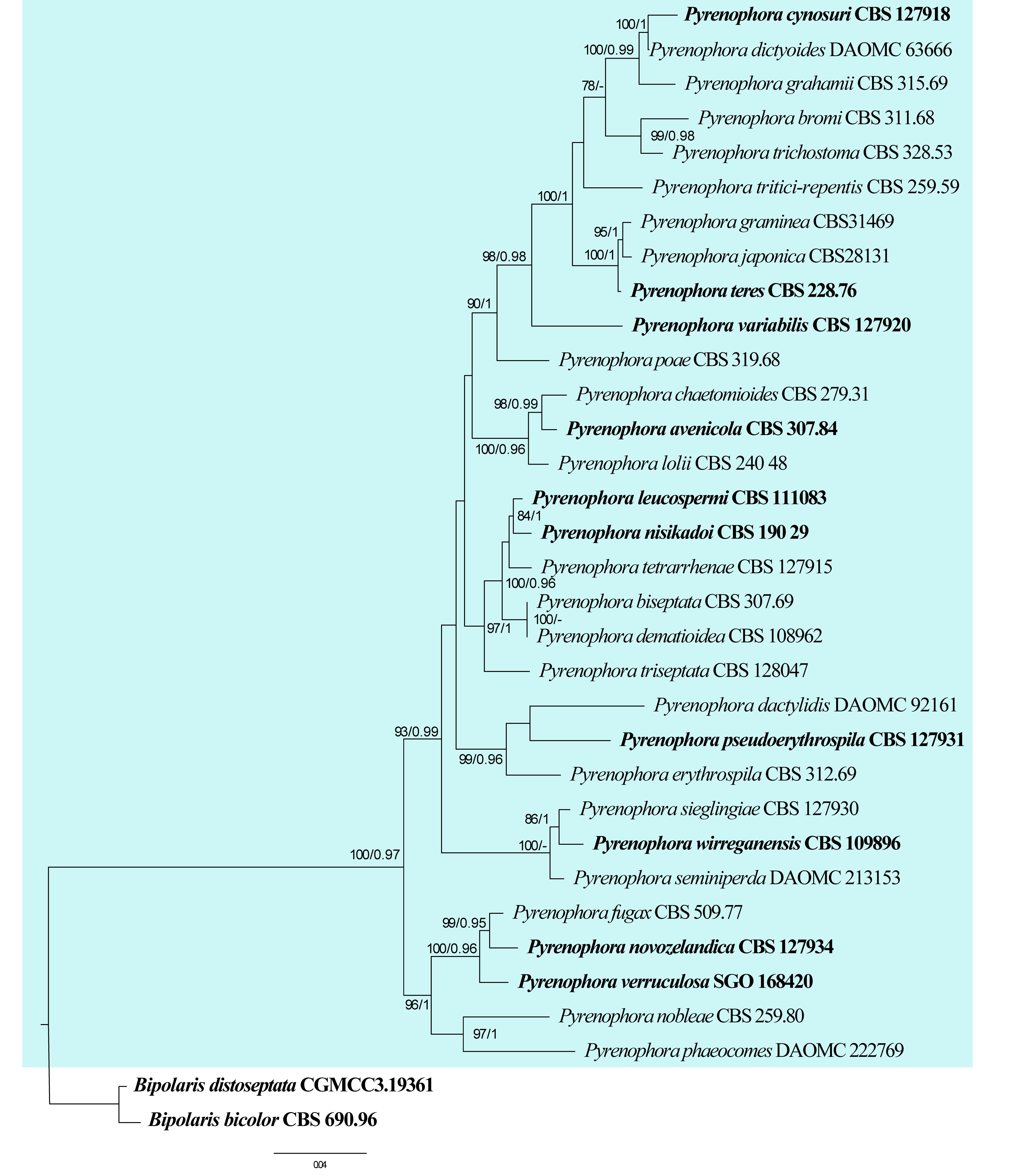 Figure 38